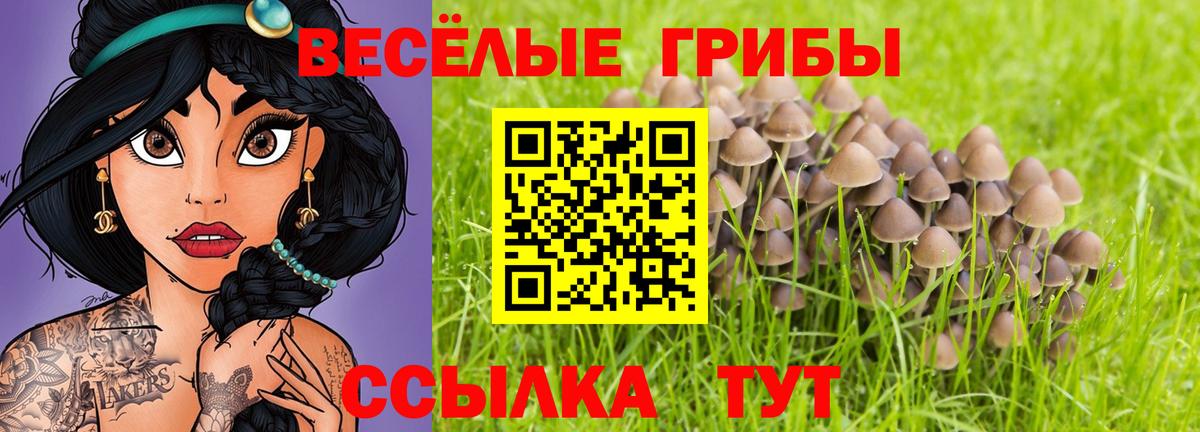 Королёв  Псилоцибиновые грибы ЛСД  сколько стоит  Вход с VPN 